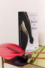 JOURNAL D'UN MAITRE, Patrick Le Sage – Image 5