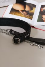 Set Collier + Laisse WILD GENTLEMAN – Image 5