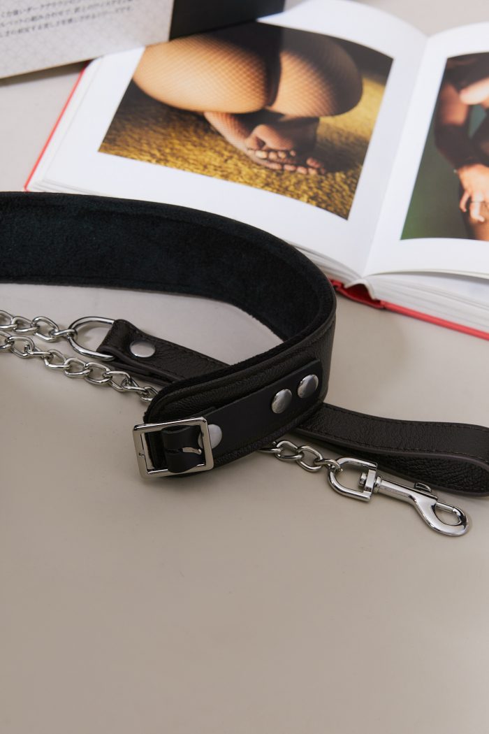 Set Collier + Laisse WILD GENTLEMAN – Image 5