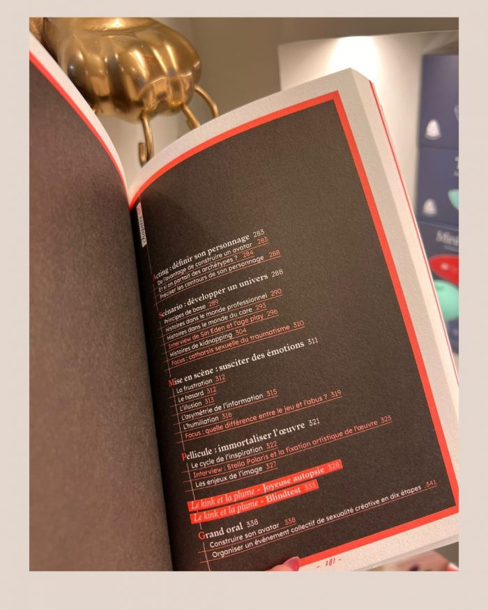 Kink, manuel de sexualités créatives x Axelle de Sade & Meta Tshiteya – Image 7