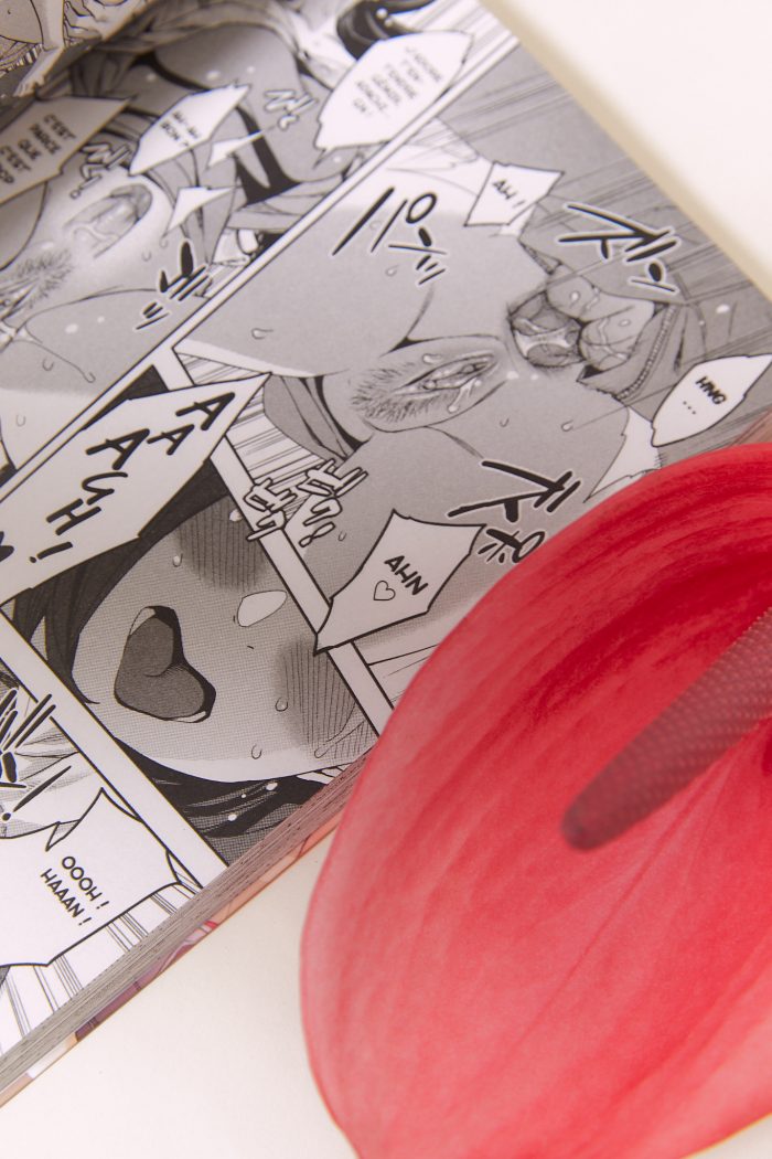Manga ANAL STUDIES – Image 4