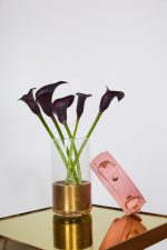 Set 2 pièces Collier + Laisse BARBITCH x Liebe – Image 7