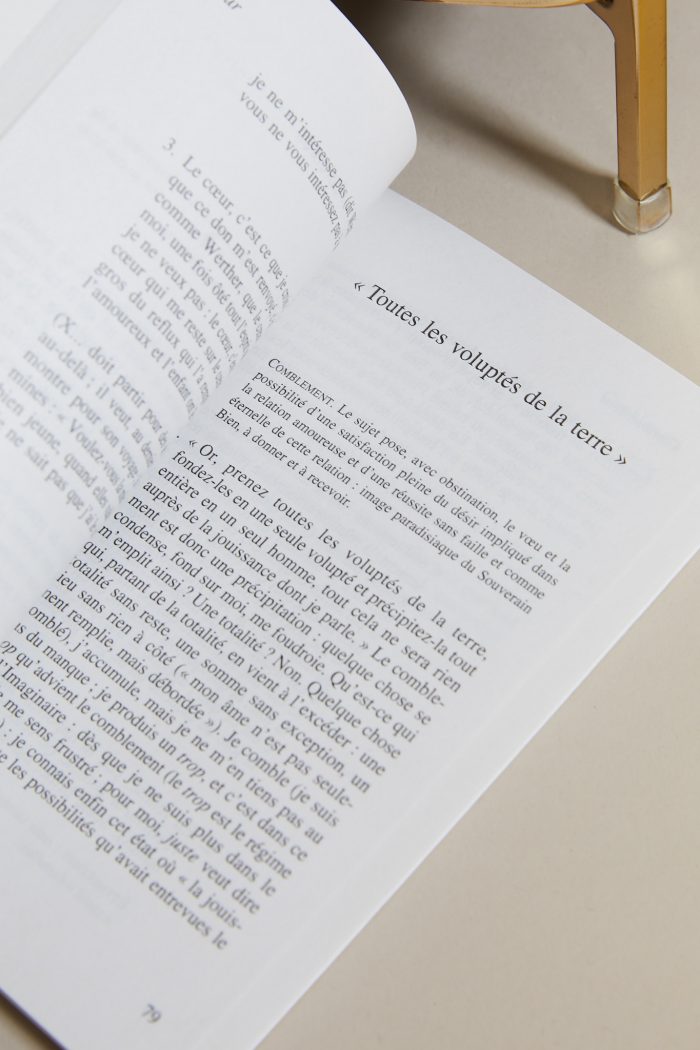 FRAGMENTS D'UN DISCOURS AMOUREUX - Roland Barthes – Image 7