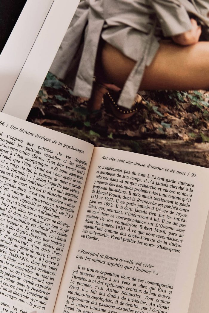 HIST. EROTIQUE DE LA PSYCHANALYSE de la nourrice de Freud aux amants d'aujourd'hui - Sarah Chiche – Image 2