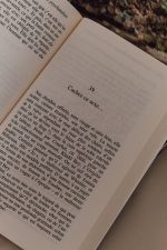 HIST. EROTIQUE DE LA PSYCHANALYSE de la nourrice de Freud aux amants d'aujourd'hui - Sarah Chiche – Image 5
