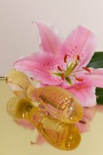 Toy WARM Gold 24K x L'INDÉCENT 🇫🇷 – Image 11