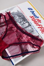 Culotte transparente JUSTINE – Image 3