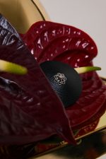 Nippies pour les seins LE RITA x KashKash 🇫🇷 – Image 7