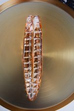 Dildo en verre doré LICK IT – Image 5