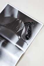 Plug Anal en verre L'ORAGEUX – Image 3