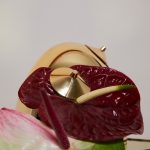 Nippies pour les seins LE DIANE x KashKash 🇫🇷