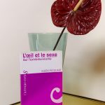 L'OEIL ET LE SEXE - Picquart Julien
