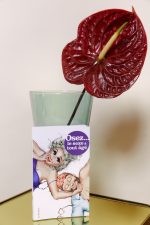 Osez... LE SEXE À TOUT ÂGE – Image 7