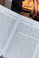 La conversation des sexes, philosophie du consentement - Manon Garcia – Image 2