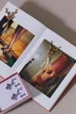 Pince à seins Bijoux MA BICHE – Image 4