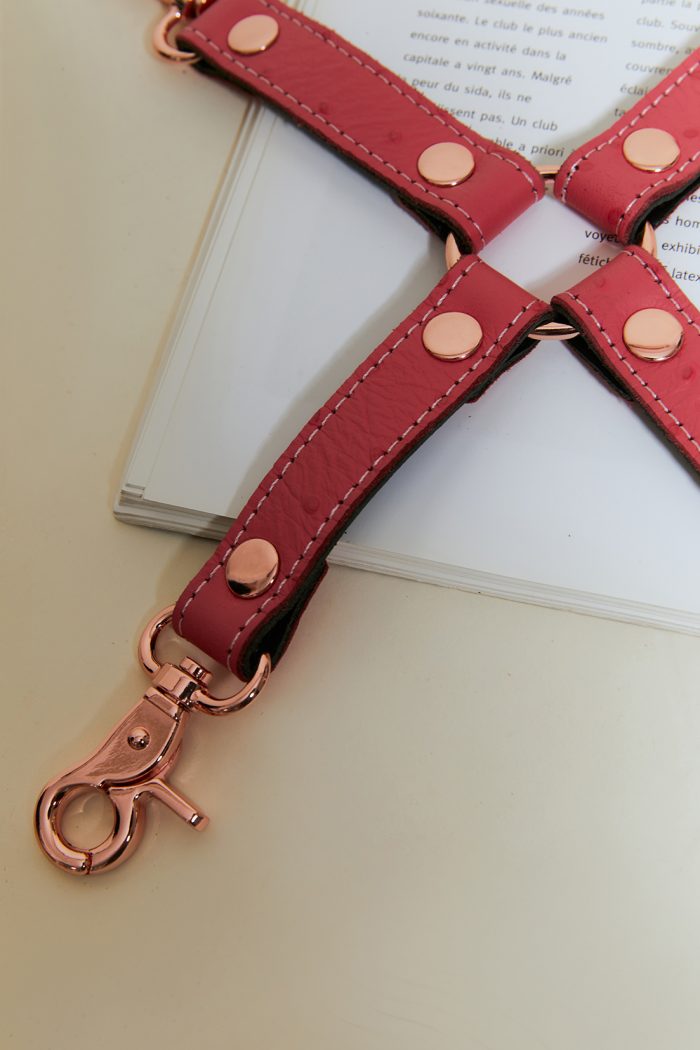 Lien de restriction PINKPARADISE x Liebe – Image 3