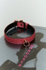 Choker O'ring PINKPARADISE x Liebe – Image 4