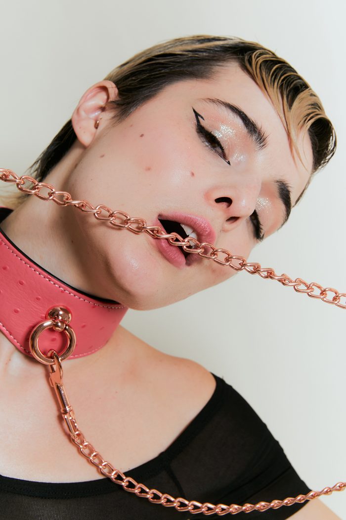 Set 2 pièces Collier 'O-Ring Curve Large' + Laisse PINKPARADISE large x Liebe – Image 7