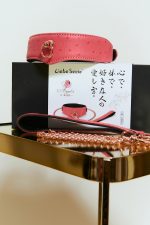 Set 2 pièces Collier 'O-Ring Curve' + Laisse PINKPARADISE x Liebe – Image 9