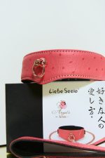Set 2 pièces Collier 'O-Ring Curve' + Laisse PINKPARADISE x Liebe – Image 8