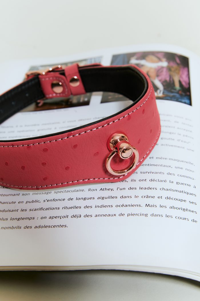 Set 2 pièces Collier 'O-Ring Curve' + Laisse PINKPARADISE x Liebe – Image 5
