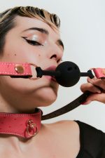 Set de restriction à composer PINKPARADISE x Liebe - Inclus Collier & sa laisse – Image 2