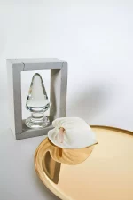Plug Anal en verre LA RECREATION