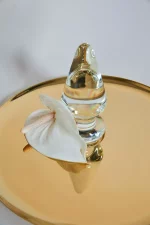 Plug Anal en verre LA RECREATION – Image 3