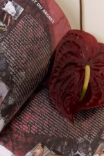 LE SEXE BIZARRE nouvelle édition,  Agnès Giard – Image 13