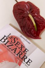 LE SEXE BIZARRE nouvelle édition,  Agnès Giard – Image 2