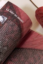 LE SEXE BIZARRE nouvelle édition,  Agnès Giard – Image 11