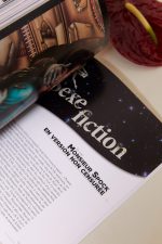 LE SEXE BIZARRE nouvelle édition,  Agnès Giard – Image 9