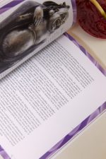 LE SEXE BIZARRE nouvelle édition,  Agnès Giard – Image 5