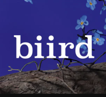 Biird